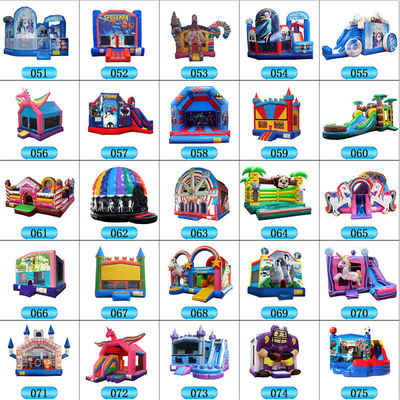 14 Years up Gender-Neutral Commercial Grade Inflatable Bounce House with Slide and Pool