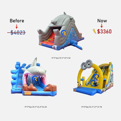 Commercial Inflatable Slide Combo for Indoor and Outdoor Entertainment