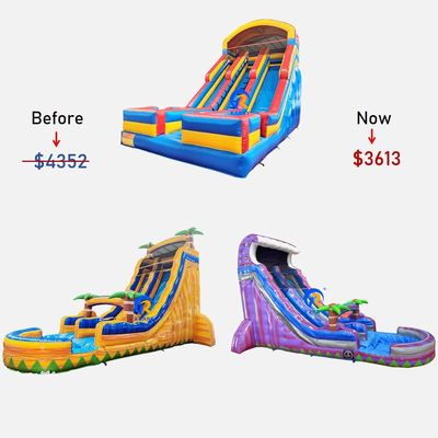 Customizable Inflatable Water Slide with Pool 0.55mm PVC Tarpaulin Digital Printing