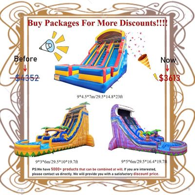 Customizable Inflatable Water Slide with Pool 0.55mm PVC Tarpaulin Digital Printing