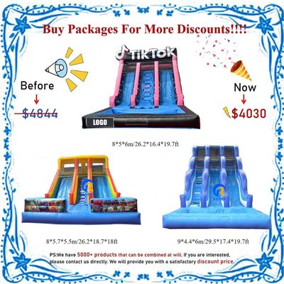 Customizable Inflatable Water Slide with Pool 0.55mm PVC Tarpaulin Digital Printing