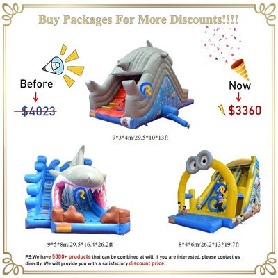 Customizable Inflatable Water Slide with Pool 0.55mm PVC Tarpaulin Digital Printing