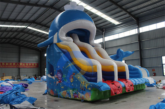 Portable PVC 0.55mm Tarpaulin Inflatable Water Slide with Pools and Swimming Ball Toys