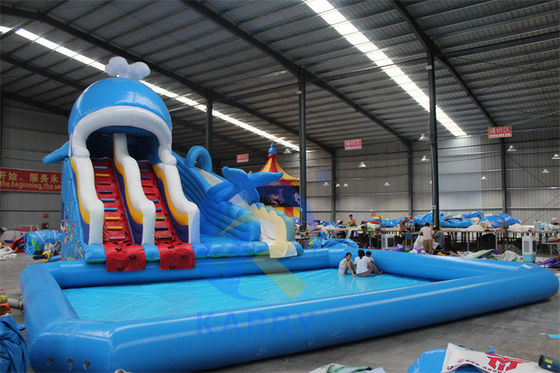 Portable PVC 0.55mm Tarpaulin Inflatable Water Slide with Pools and Swimming Ball Toys