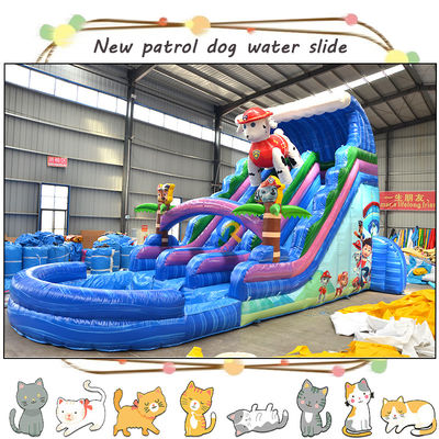 Entertain Kids with 3D Paw-Patrols Inflatable Water Slide and Pool Double-lane Design