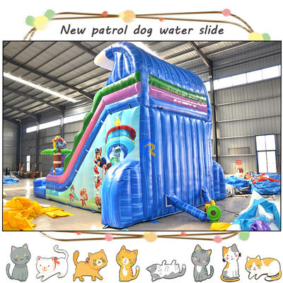 Entertain Kids with 3D Paw-Patrols Inflatable Water Slide and Pool Double-lane Design