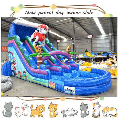 Entertain Kids with 3D Paw-Patrols Inflatable Water Slide and Pool Double-lane Design
