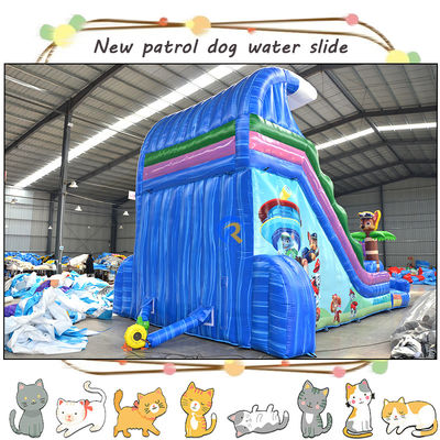 Entertain Kids with 3D Paw-Patrols Inflatable Water Slide and Pool Double-lane Design