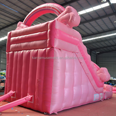 Girls Pink Inflatable 26 Foot Water Slide Pool Perfect for Commercial Rental and Fun