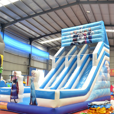 Digital Printing Frozen Inflatable Water Double Slip N Slide for Outdoor Entertainment