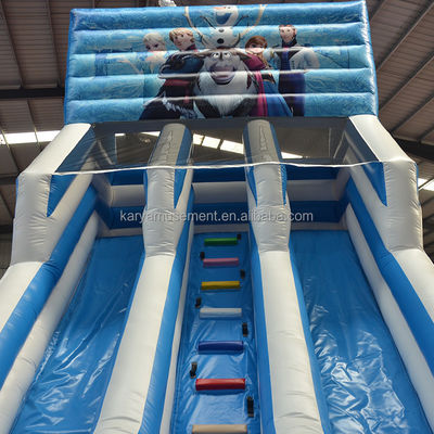 Digital Printing Frozen Inflatable Water Double Slip N Slide for Outdoor Entertainment