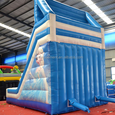 Digital Printing Frozen Inflatable Water Double Slip N Slide for Outdoor Entertainment
