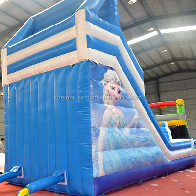 Digital Printing Frozen Inflatable Water Double Slip N Slide for Outdoor Entertainment