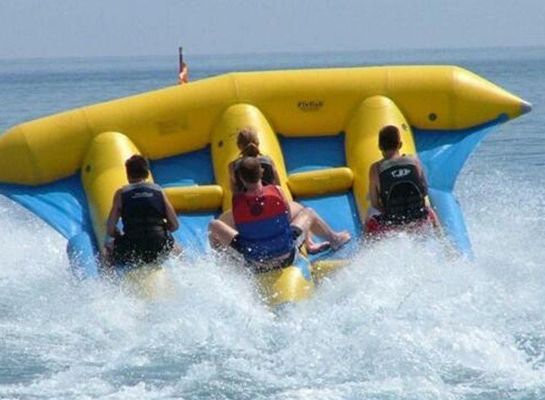 PVC Tarpaulin Inflatable Flying Fish Tube Towable for 5-10 Passengers in the Water