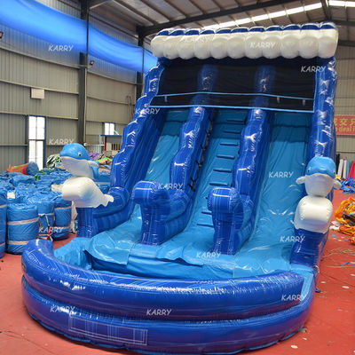 Large Children Inflatable Water Double Slide N Slip with Digital Printing and Blower
