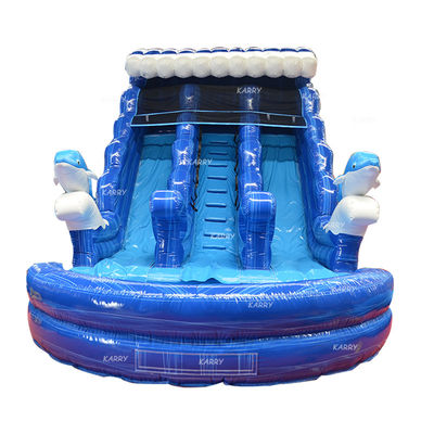 Large Children Inflatable Water Double Slide N Slip with Digital Printing and Blower