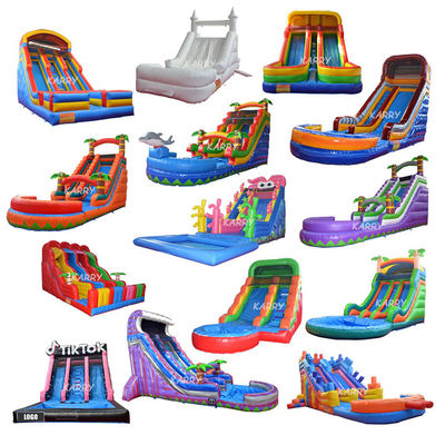 Stimulating Alpine Slide for Adults Inflatable Water Slide Pool Kids Indoor Slide