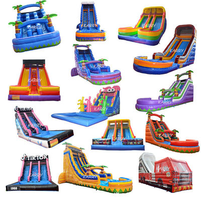 Stimulating Alpine Slide for Adults Inflatable Water Slide Pool Kids Indoor Slide