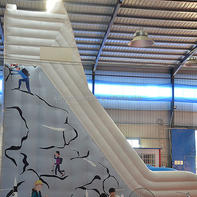 Large White Snow Mountain Double Slip And Slide Inflatable Water Slide For Adult Size
