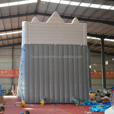 Large White Snow Mountain Double Slip And Slide Inflatable Water Slide For Adult Size