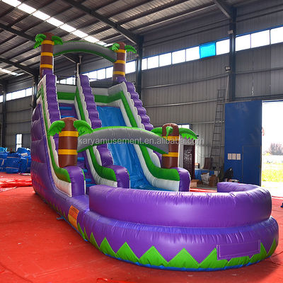 5-10 Passenger Capacity 29ft Inflatable Water Slide with Pool CE/EN71/EN14960 Approved