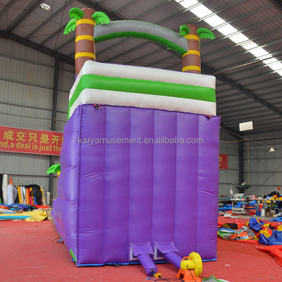 5-10 Passenger Capacity 29ft Inflatable Water Slide with Pool CE/EN71/EN14960 Approved