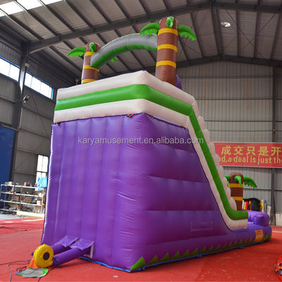 5-10 Passenger Capacity 29ft Inflatable Water Slide with Pool CE/EN71/EN14960 Approved