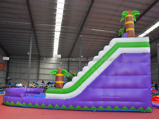 5-10 Passenger Capacity 29ft Inflatable Water Slide with Pool CE/EN71/EN14960 Approved
