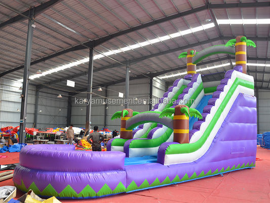 5-10 Passenger Capacity 29ft Inflatable Water Slide with Pool CE/EN71/EN14960 Approved