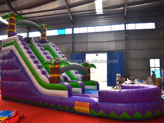 5-10 Passenger Capacity 29ft Inflatable Water Slide with Pool CE/EN71/EN14960 Approved