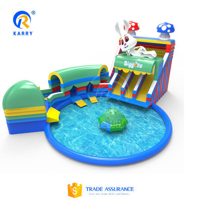 Exciting Outdoor Water Park with Large Inflatable Dolphin Slide and Crazy Shark Pool