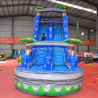 Digital Printing Commercial Grade PVC Tarpaulin Inflatable Water Slide with Kid Play Pool