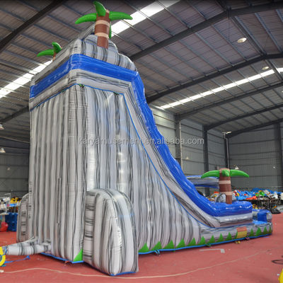 Digital Printing Commercial Grade PVC Tarpaulin Inflatable Water Slide with Kid Play Pool