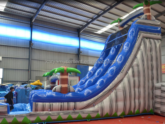 Digital Printing Commercial Grade PVC Tarpaulin Inflatable Water Slide with Kid Play Pool