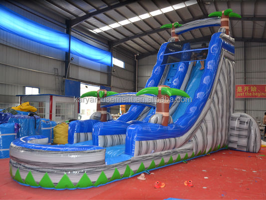 Digital Printing Commercial Grade PVC Tarpaulin Inflatable Water Slide with Kid Play Pool