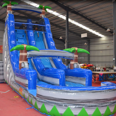 Digital Printing Commercial Grade PVC Tarpaulin Inflatable Water Slide with Kid Play Pool
