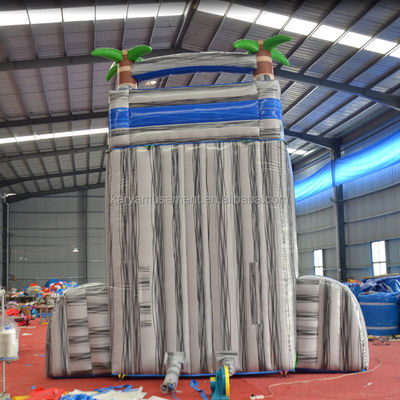 Digital Printing Commercial Grade PVC Tarpaulin Inflatable Water Slide with Kid Play Pool