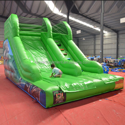 Max Capacity 100-500kg Inflatable Small Slide Water Park for Kids' Entertainment