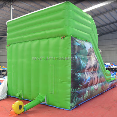 Max Capacity 100-500kg Inflatable Small Slide Water Park for Kids' Entertainment