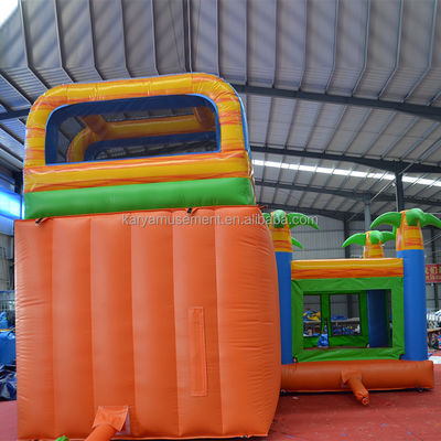 PVC Customized Inflatable Castle Slide Combination for Trendy Theme Bounce House