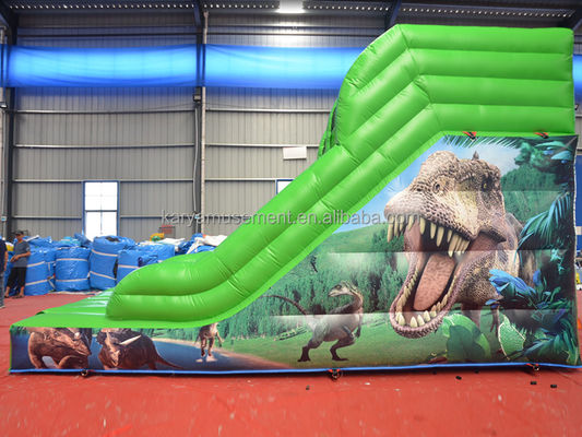 Max Capacity 100-500kg Inflatable Small Slide Water Park for Kids' Entertainment