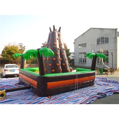 0.55mm PVC Tarpaulin Artificial Climbing Wall Great for Sports Activities With Blower
