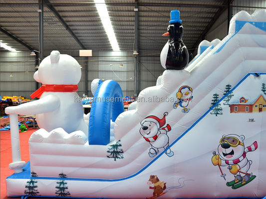 Customized Color Inflatable Water Slide for Fun at Polar Lake Max Capacity 100-500kg