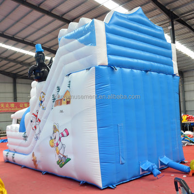Customized Color Inflatable Water Slide for Fun at Polar Lake Max Capacity 100-500kg