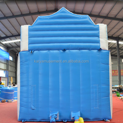Customized Color Inflatable Water Slide for Fun at Polar Lake Max Capacity 100-500kg