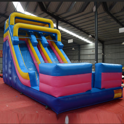 Digital Printing Commercial Grade PVC Aqua Park 2-Lane Water Slide for Adult and Kids