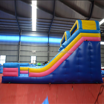 Digital Printing Commercial Grade PVC Aqua Park 2-Lane Water Slide for Adult and Kids