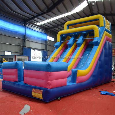 Digital Printing Commercial Grade PVC Aqua Park 2-Lane Water Slide for Adult and Kids