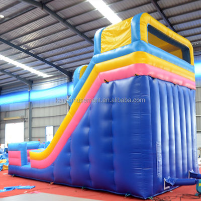 Digital Printing Commercial Grade PVC Aqua Park 2-Lane Water Slide for Adult and Kids