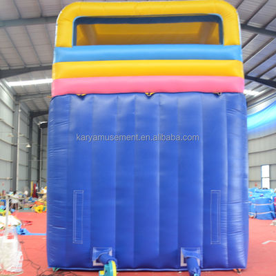 Digital Printing Commercial Grade PVC Aqua Park 2-Lane Water Slide for Adult and Kids